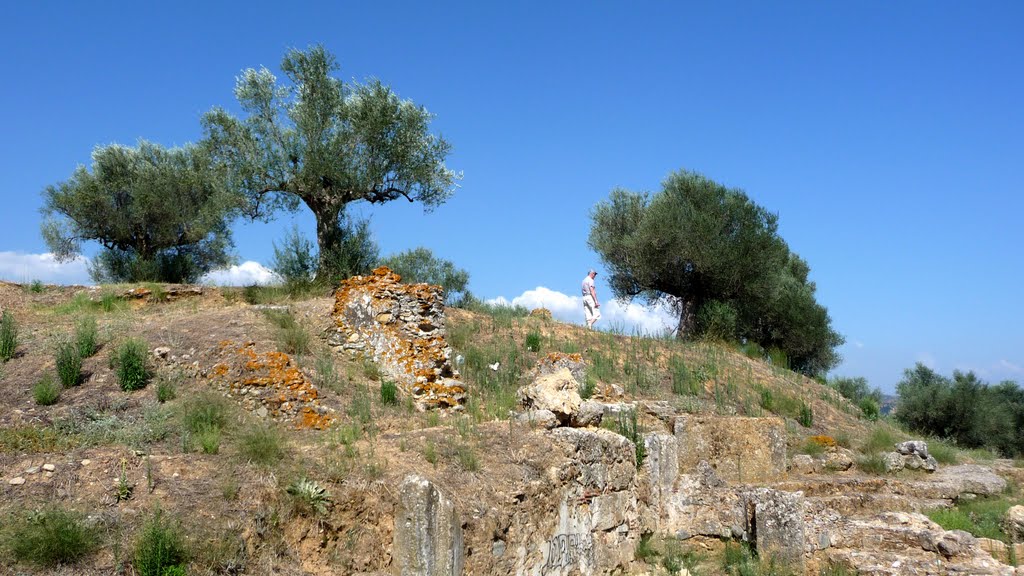 Acropolis of ancient Sparta by Jan Madaras - outlan…