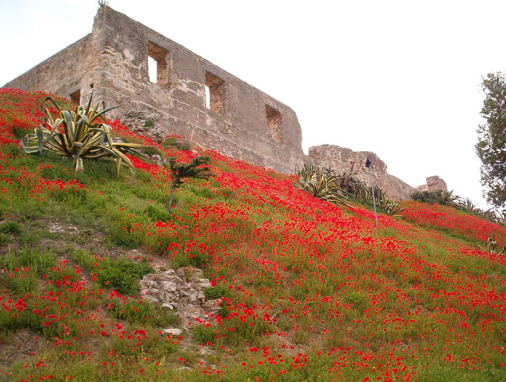 Torres Vedras, il castello by PeterE