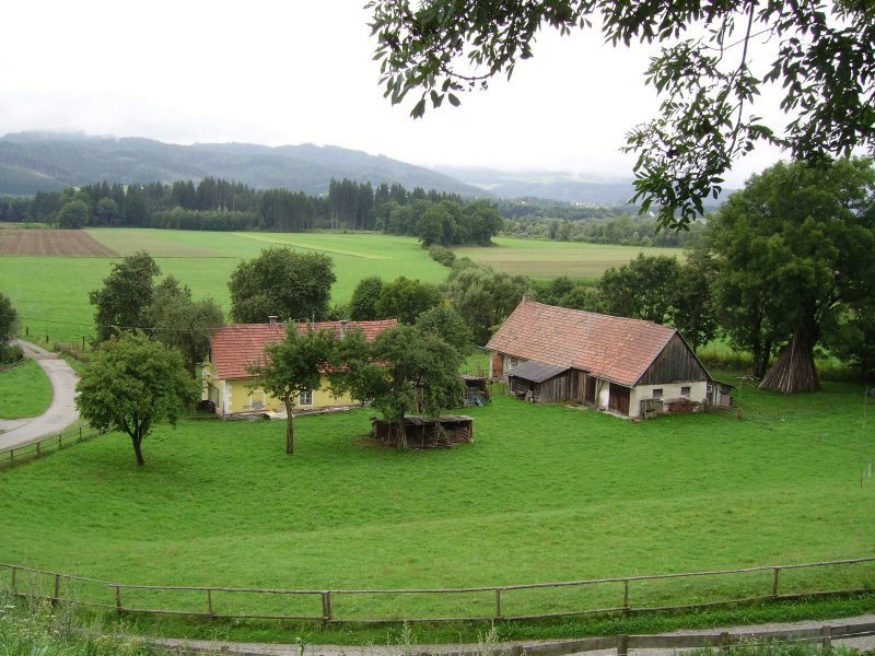 Near Zeltweg by Vittorio Fadi