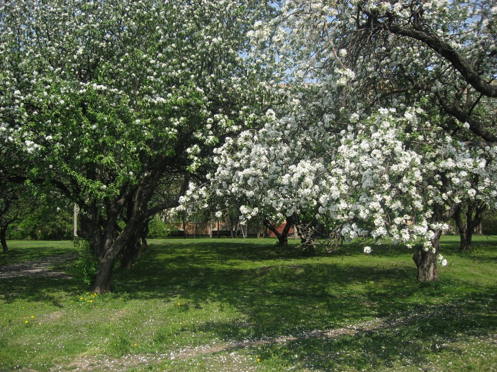 Nagatino-Sadovniki District, Moscow, Russia by Yngwar