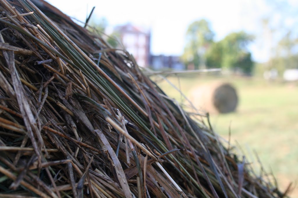 Hay Roll 01 by Charles Quigley