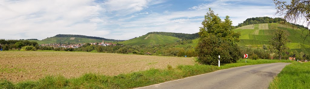 Korb und Kleinheppacher Kopf by Andreas Bertz