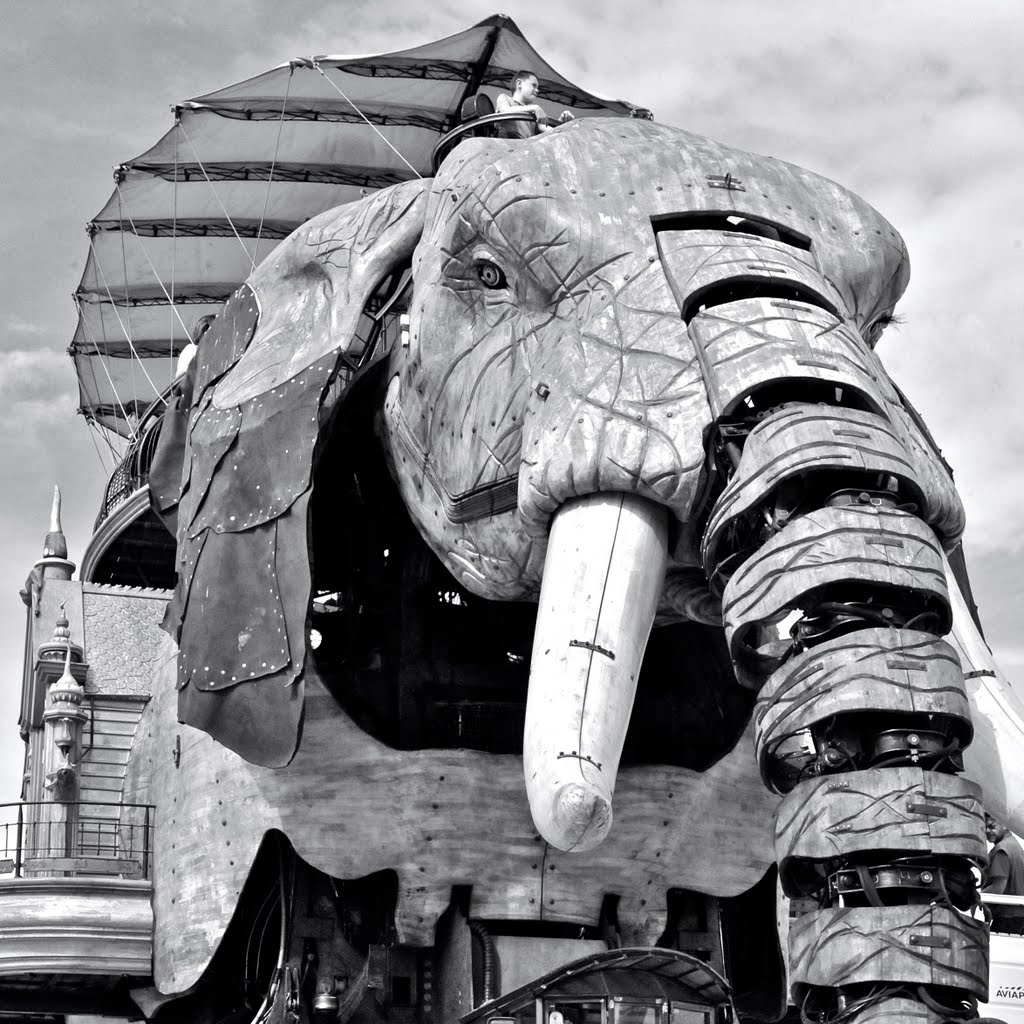 Un élephant à Nantes , ça trompe !! by Mark Jone