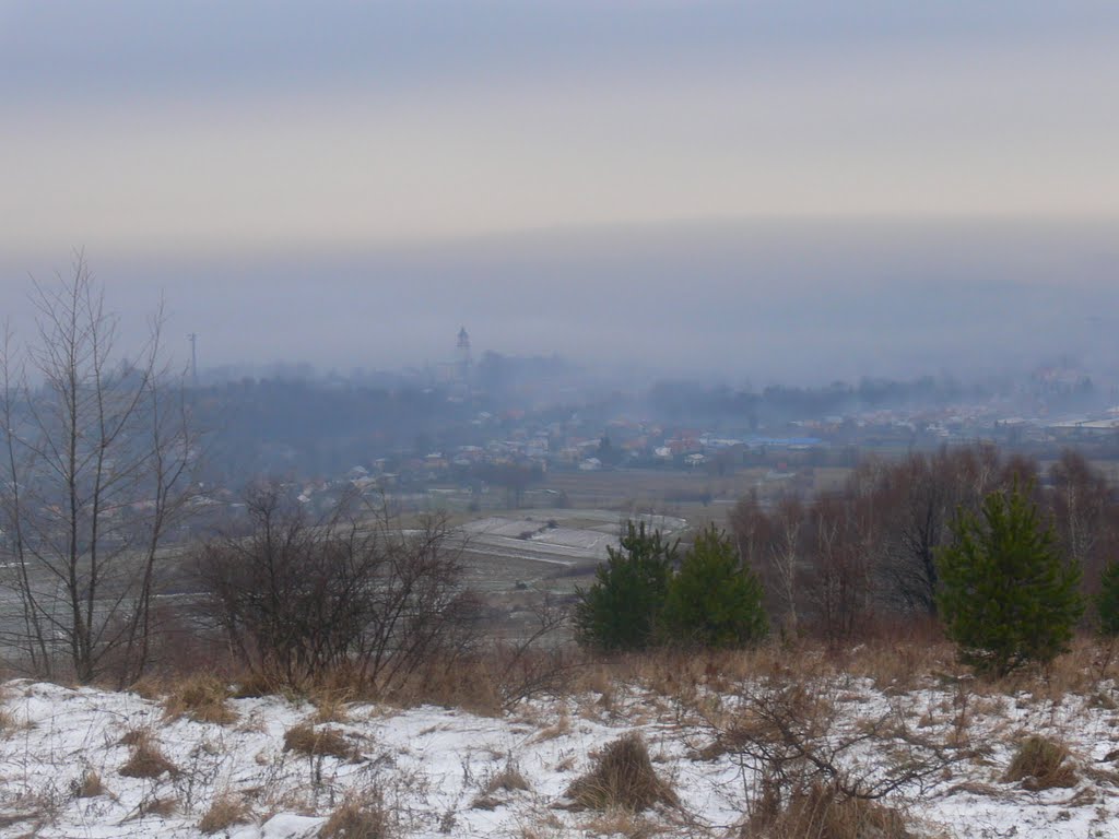 Widok na Rymanów ze wzgórza Wierchowa by rskotak