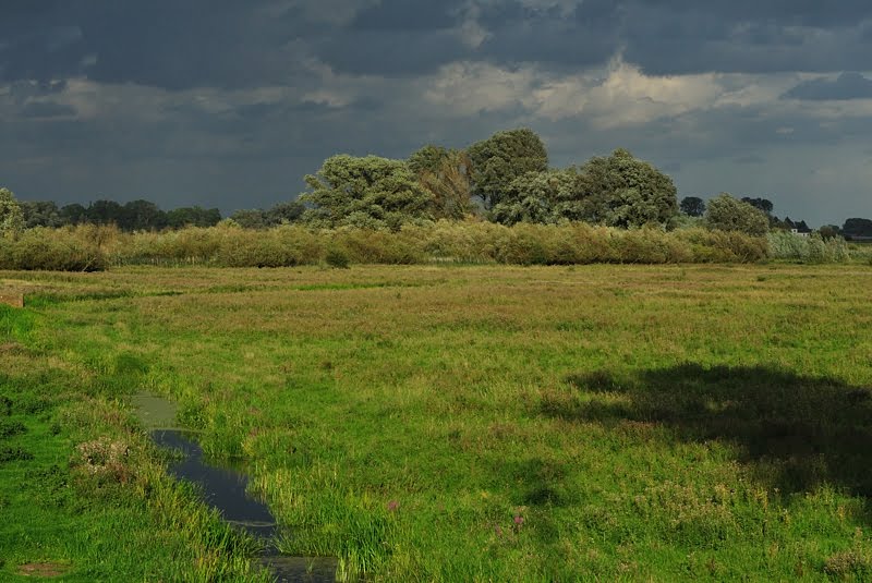 Uiterwaarden Neder-Rijn bij Wageningen by Jan Visser