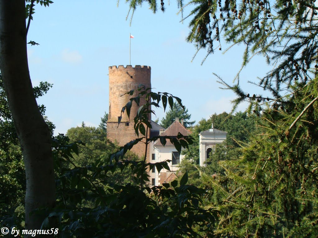 Widok na zamek Joannitów by Mirosław Mazański