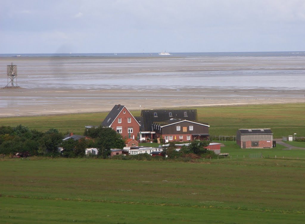 Auf der Insel Neuwerk by Walter Brunner