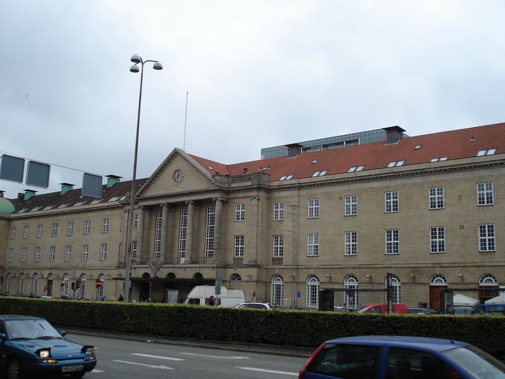 Aarhus Railway Station by bichoosn