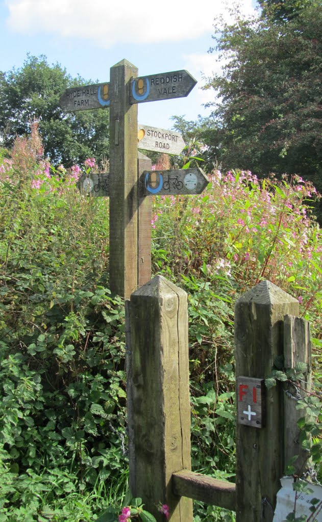 Ross Lave Lane, Reddish Vale by © Phil Rowbotham