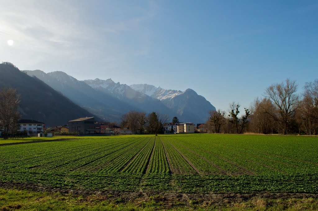 9490 Vaduz, Liechtenstein by Lucas Keene