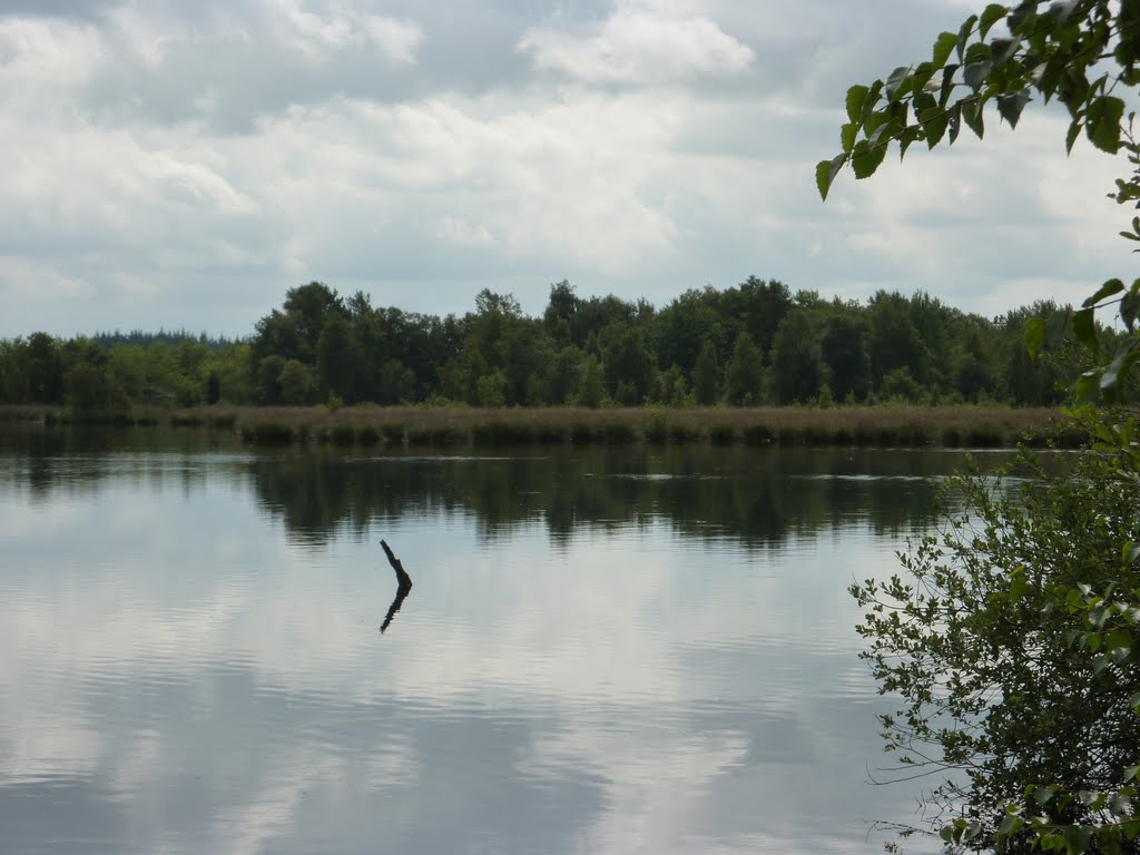 Fochterloërveen by wimida