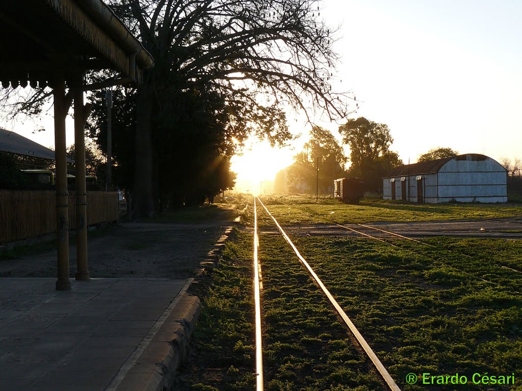 Atardecer en Estación FFCC San Justo Ramal C by M. Erardo Césari