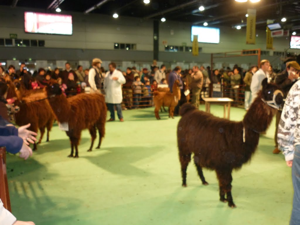 Expo Rural Palermo Bicentenario 2010 , productos de nuestra tierra...... by elsie5718