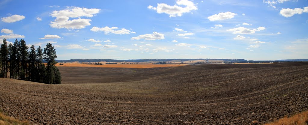 Green Bluff panorama by Leo J. Roundtree