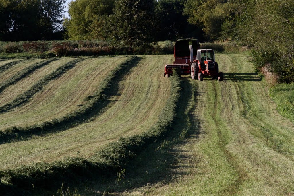 Harvest by lafong