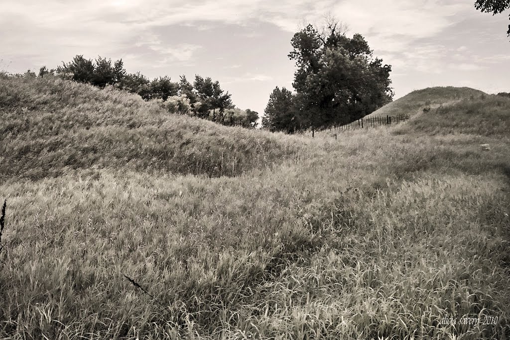 Indian Mounds Park in St. Paul by aisavery