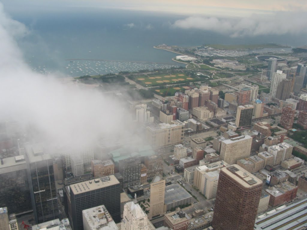 View from Willis Tower by plumgarden