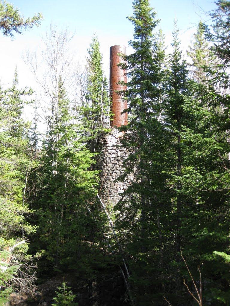 A Smokestack at Tree Height at Cliff Mine by FearTheNoFear