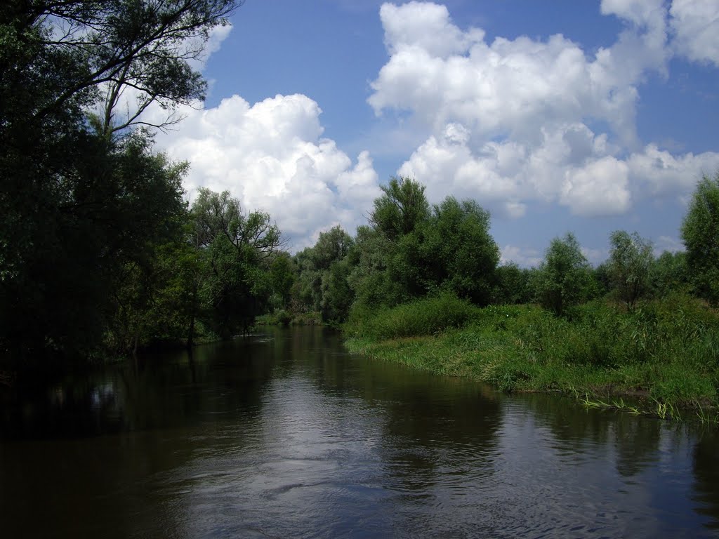 Jaszczów, rzeka Wieprz; widok w kierunku północnym by Piotr Młynarczyk