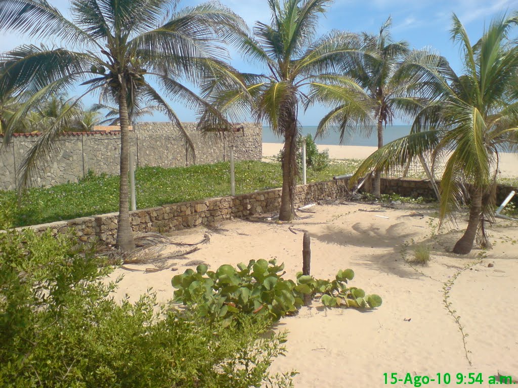 Cocoteros en la playa del Pueblo El Hatillo , Estado Anzoàtegui, Venezuela. by palmer_818