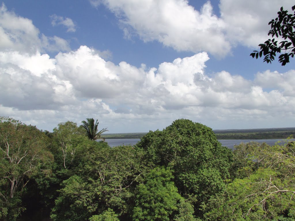 BELIZE: Lamanai: View from atop the Jaguar Temple to the New River by Douglas W. Reynolds