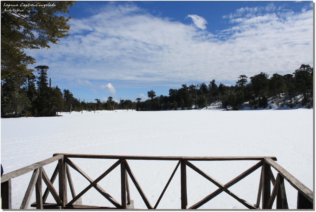 Laguna Captrén congelada by AndyUrbina