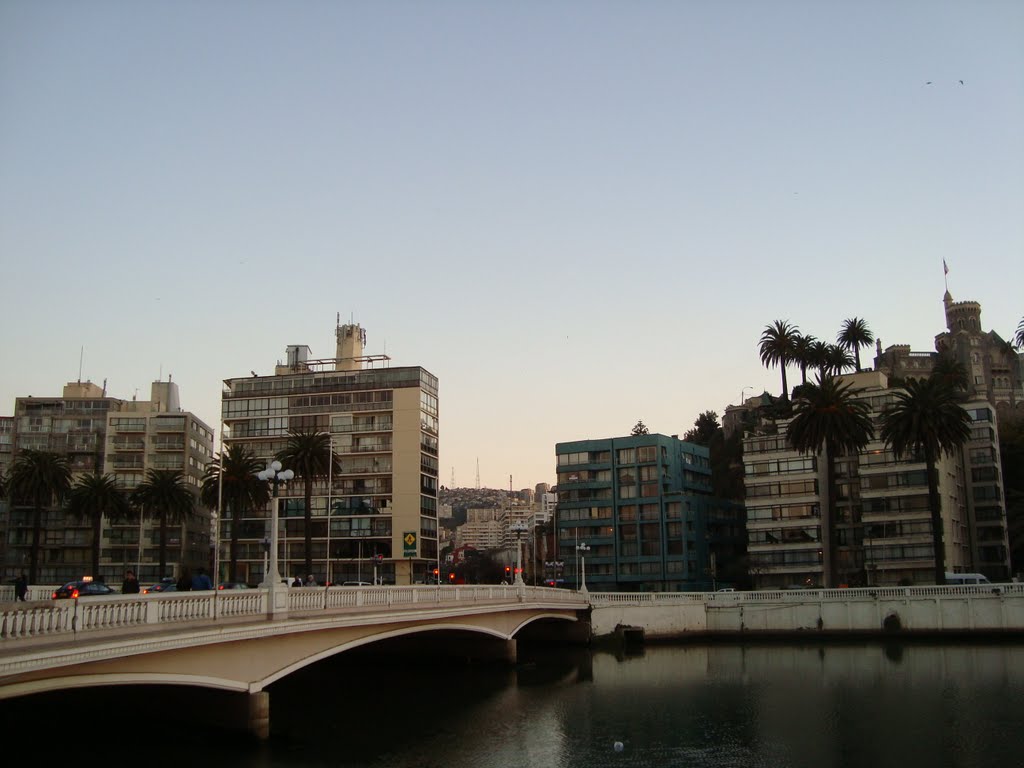 Viña del Mar, Valparaiso Region, Chile by Eduardo Mezzonato