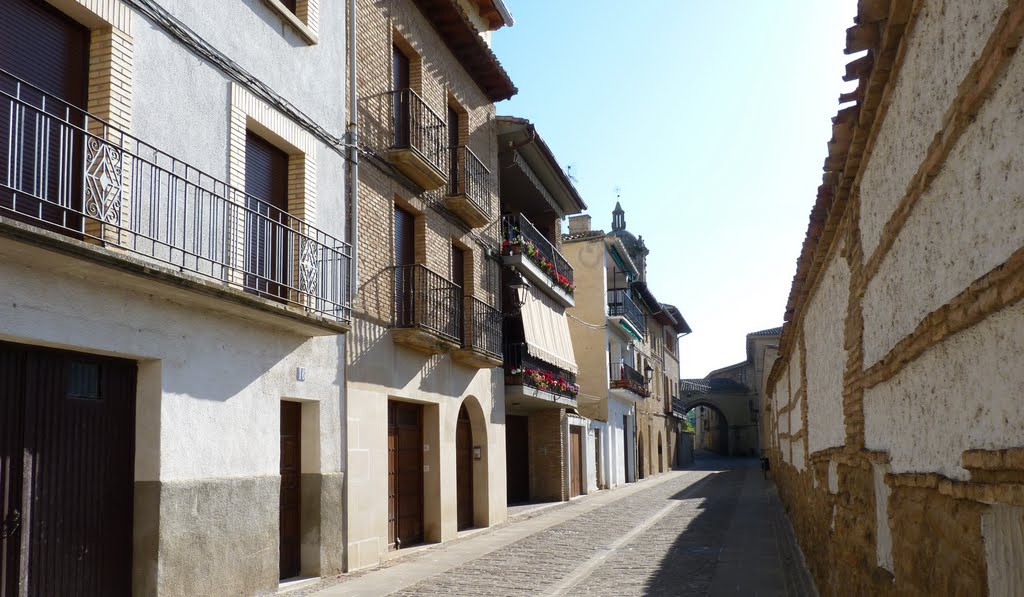 Callejeando by Salvador Rafael Busó…