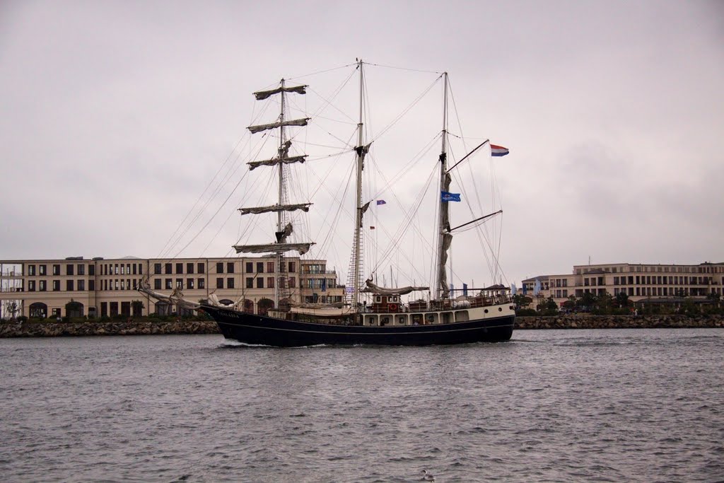 Hanse Sail 2010 Thalassa by Johannes Hoffmann