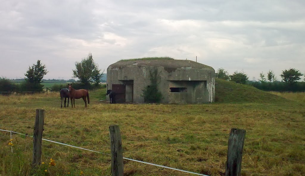 Paris-Roubaix - Torretta della Linea Maginot by edelweiss50