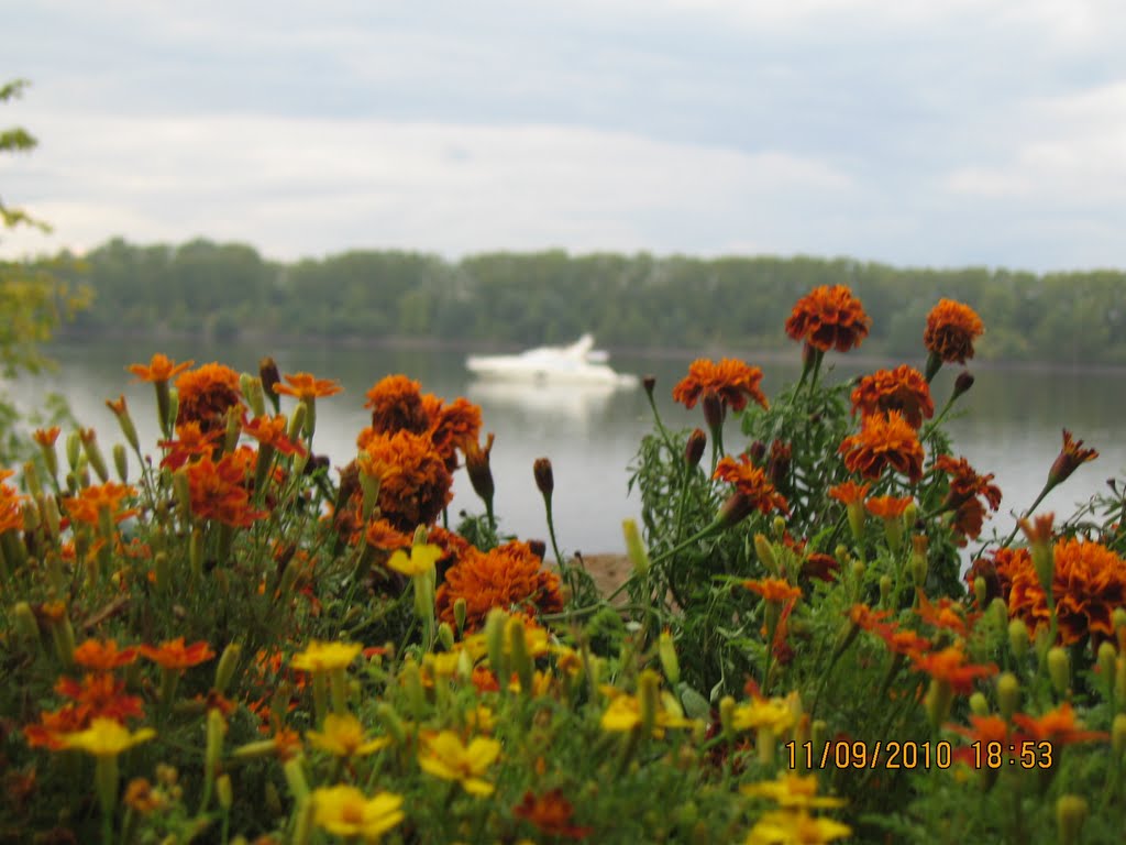 Uglich, Yaroslavl Oblast, Russia by Tatiana Andreeva