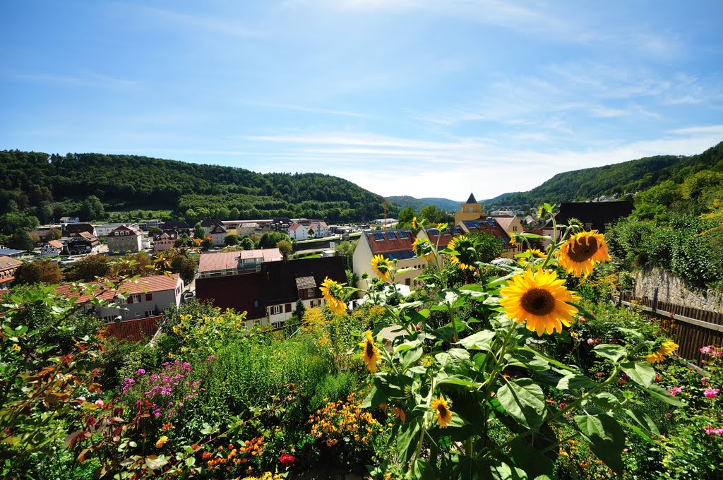 Horb am Neckar by maiermo