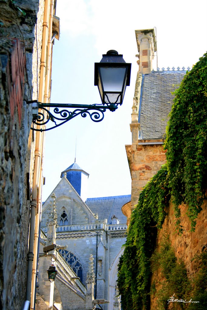 République, 72100 Le Mans, France by BORDEAU Alain.(NO VI…