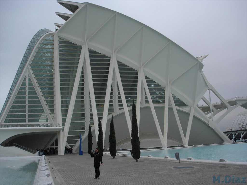 Ciutat de les Arts i les Ciències, València, Valencia, Spain by m.diaz