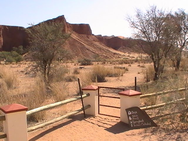 Fossilised dunes of ancient Namib Desert by Isaak Fam (Namibia)