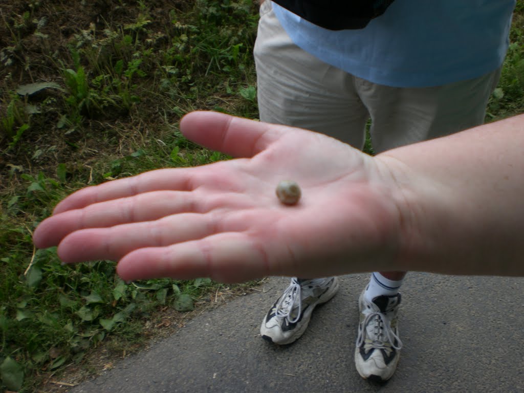 WW1 Shrapnel found in road bank near Martinpuich, France by 2TravelTragics