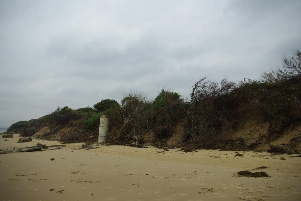 Plage et dunes. by ☮Ronan 60 countries☮