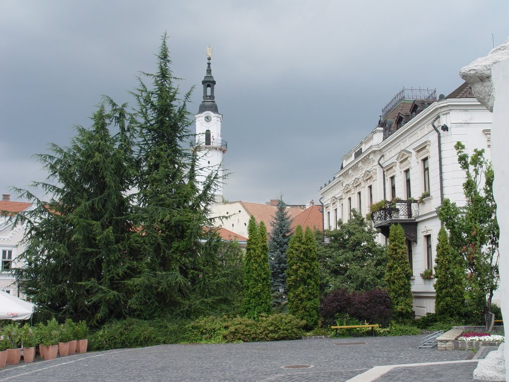 Veszprém Tűztorony by Franz Horvath