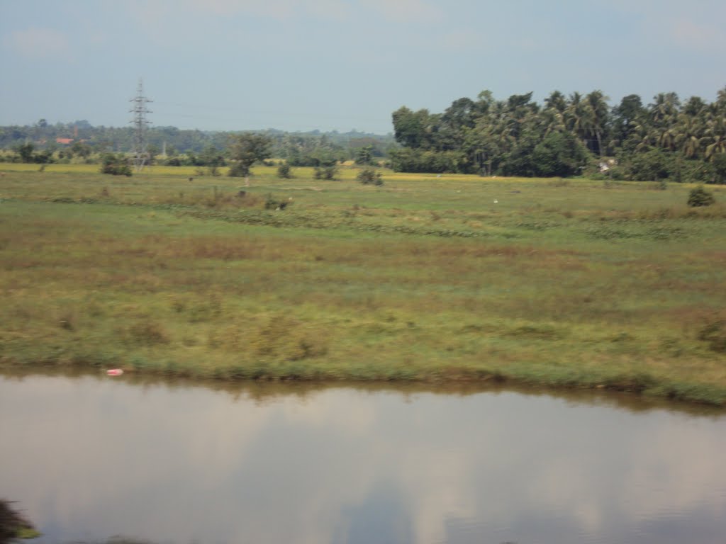 Train to kandy by omar abufarha