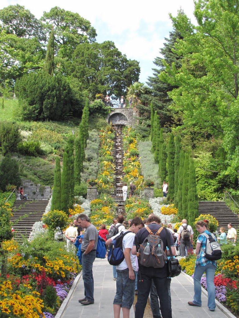 Németország, Mainau (a virágsziget), SzG3 by szalay3-II