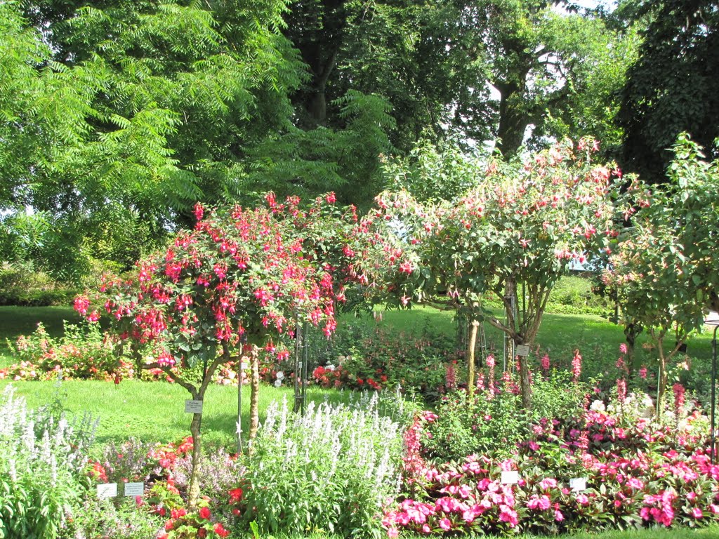 Németország, Mainau (a virágsziget), SzG3 by szalay3-II