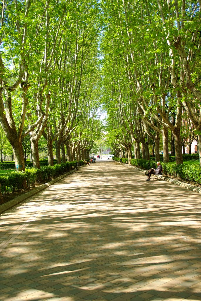 MADRDID VERDE JARDIN DE ACACIAS (PAPELERA) by Concepcion AMAT ORTA…