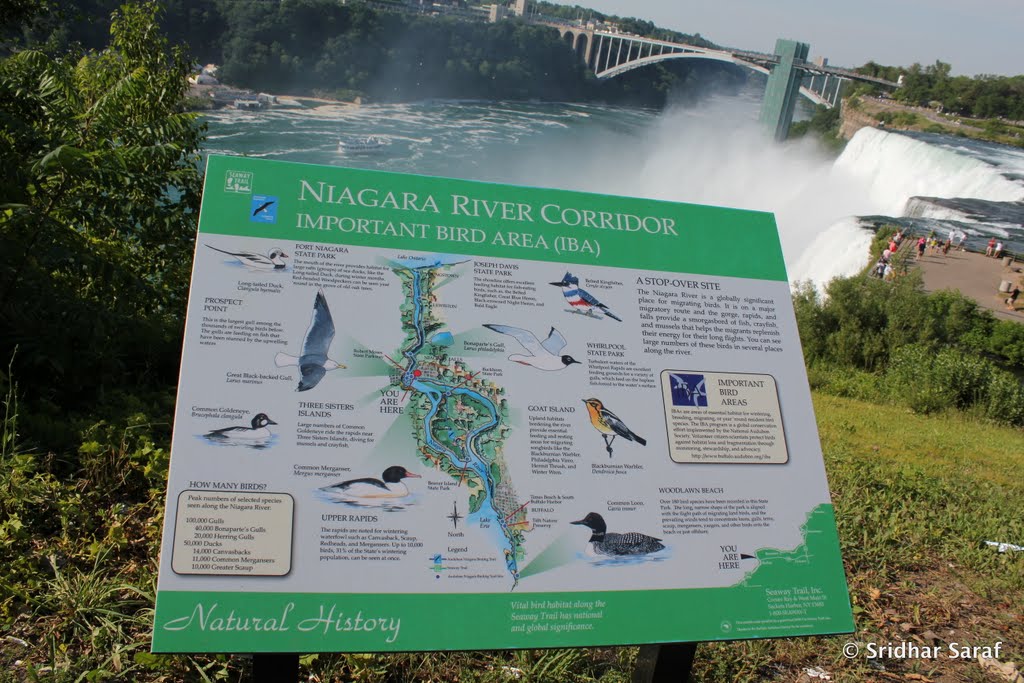 Niagara River Corridor, Niagara Falls, New York (USA) - July 2010 by Sridhar Saraf