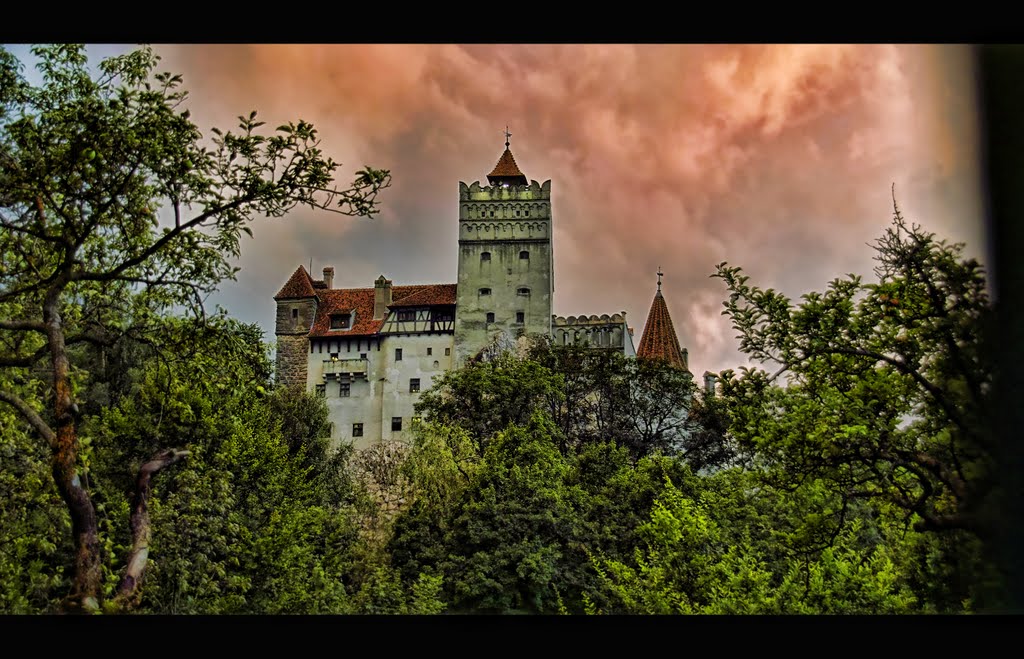 Dracula castle by frankrosolino