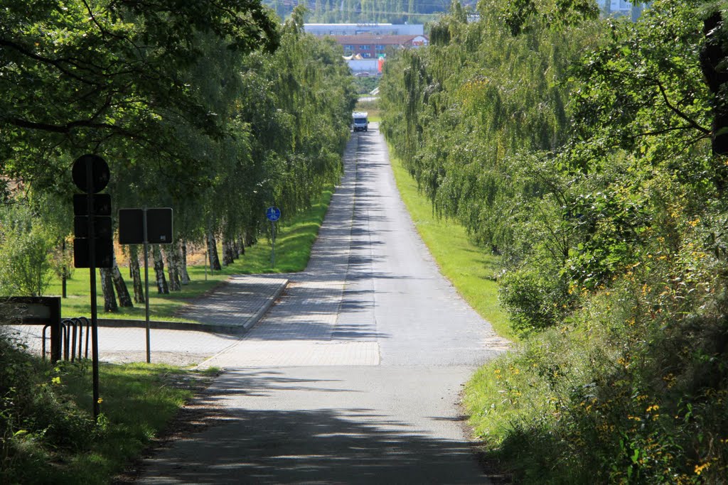 Straße zur Burg Regenstein by David Strempel