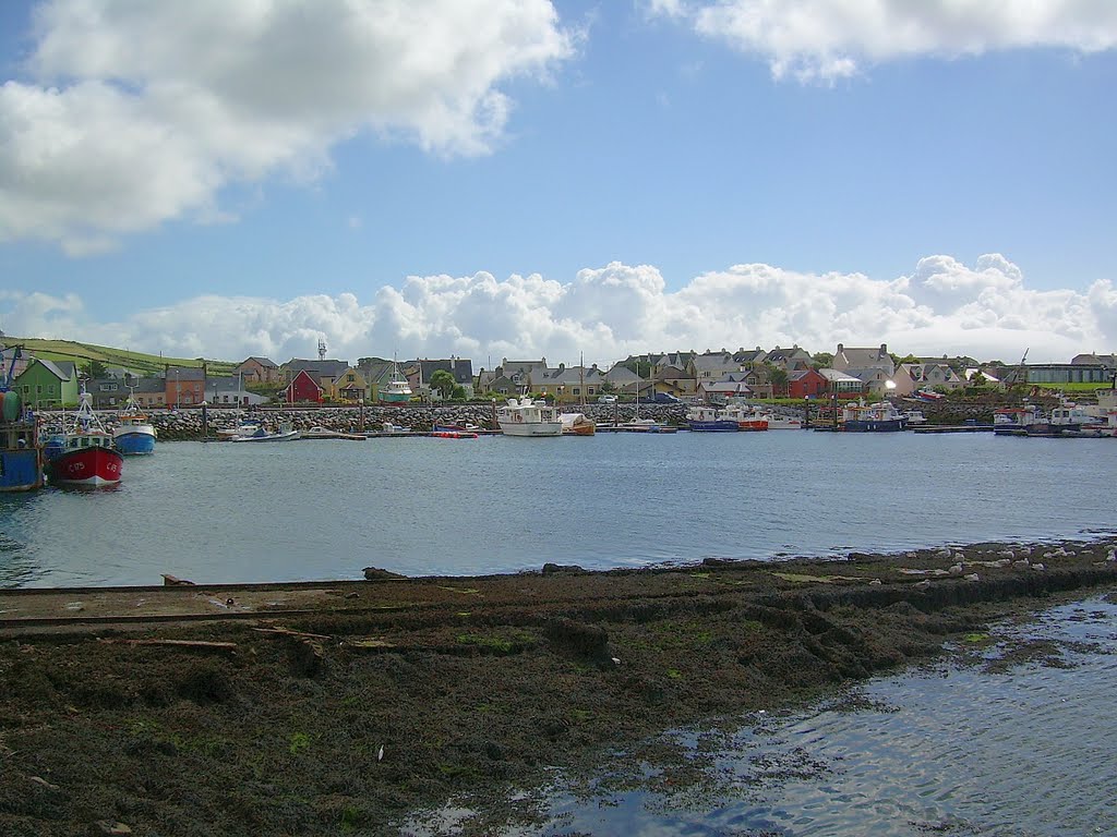 Dingle Harbour by Sue3003