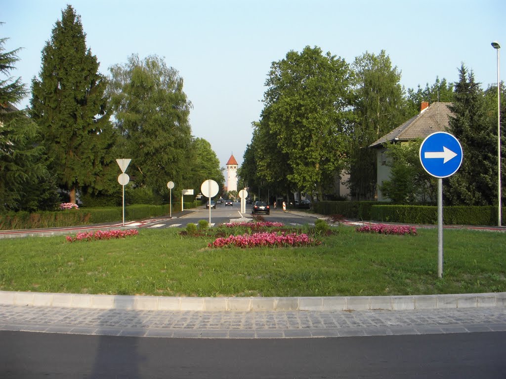 Entrance to the Brežice from direction Ljubljana and Bizeljsko by kkk26turbo