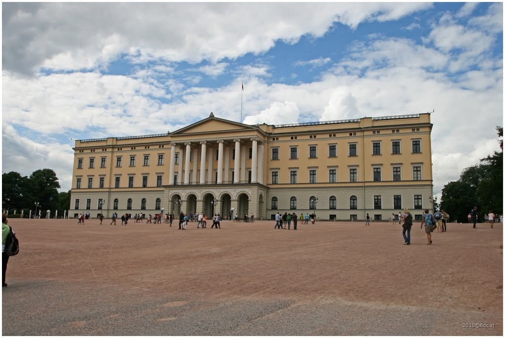 Koningklijk paleis Oslo by Bocaj Nesnaj