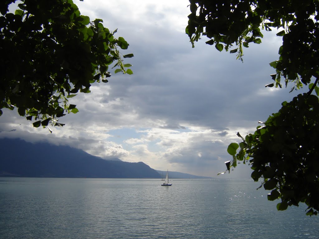 Vue sur le Léman by Resize Smith