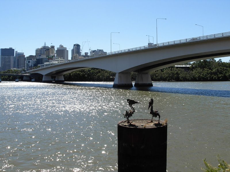 Rio Brisbane 2010 by Jose Antonio Rodrigu…